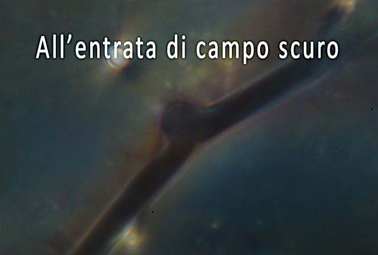 Il condensatore di Heine